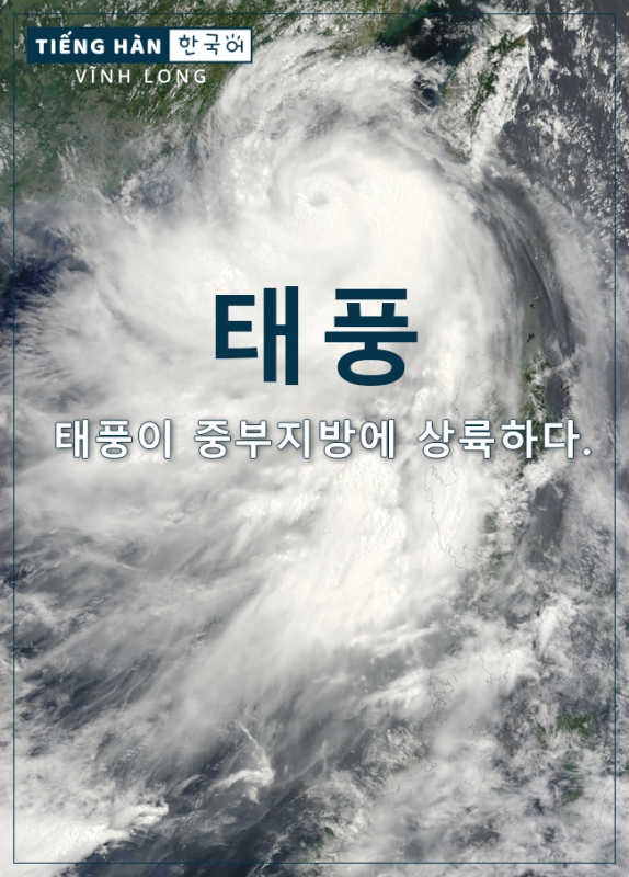 태풍: bão