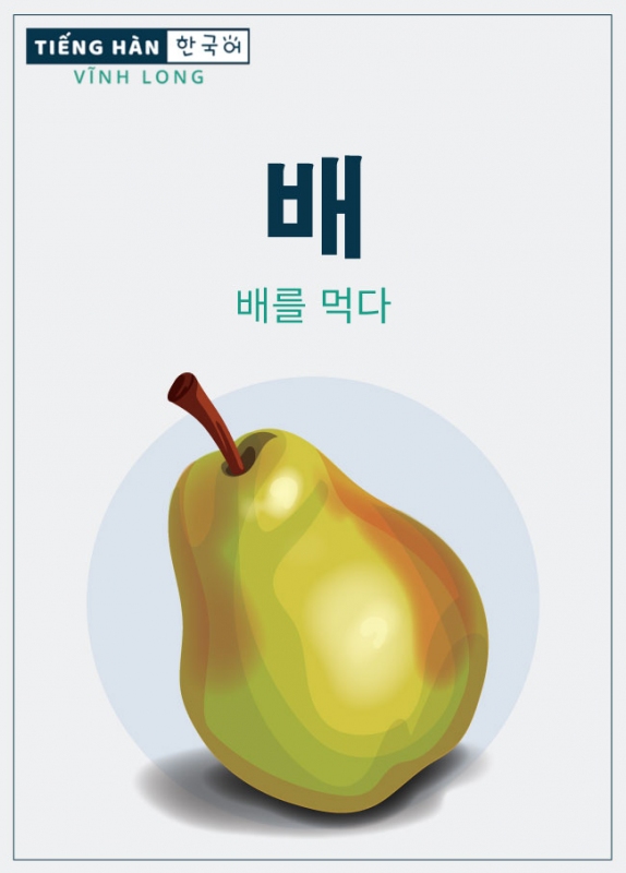 배: quả lê