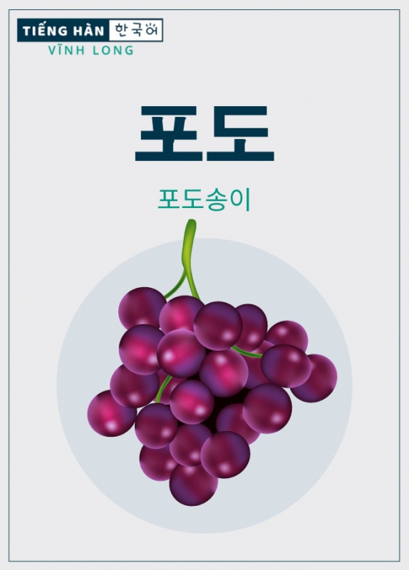 포도: quả nho