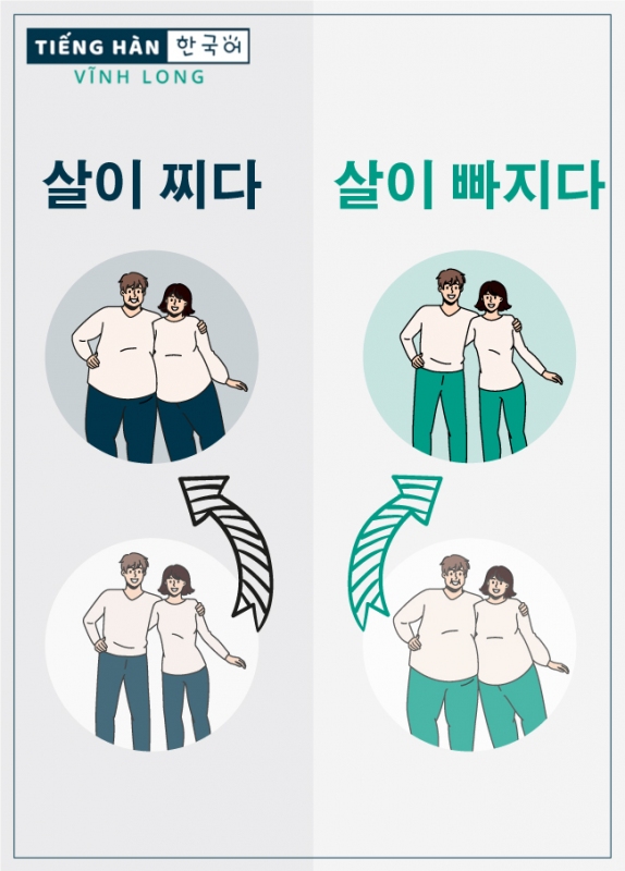 살이 찌다: tăng cân, 살이 빠지다: giảm cân